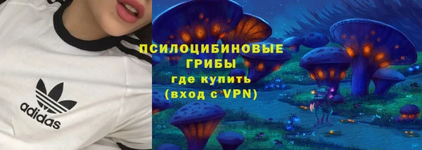 гашик Балахна