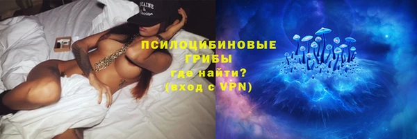 MESCALINE Аркадак