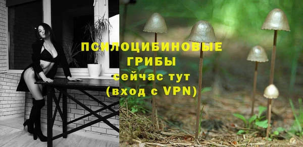 MESCALINE Аркадак