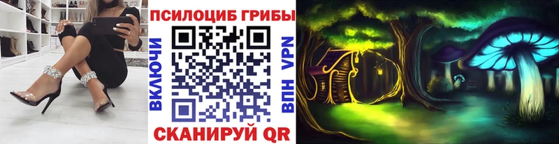 hydra маркетплейс  наркотики  Барабинск  Псилоцибиновые грибы GOLDEN TEACHER 